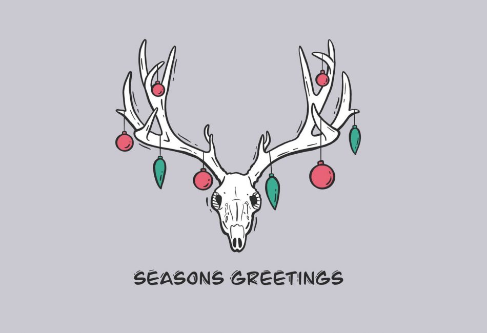 Reindeer_Skull