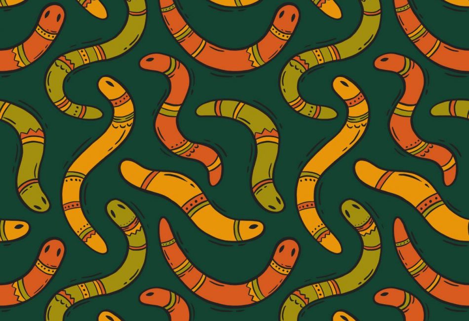 Snakes